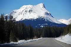 17 Bow Peak From Icefields Parkway.jpg